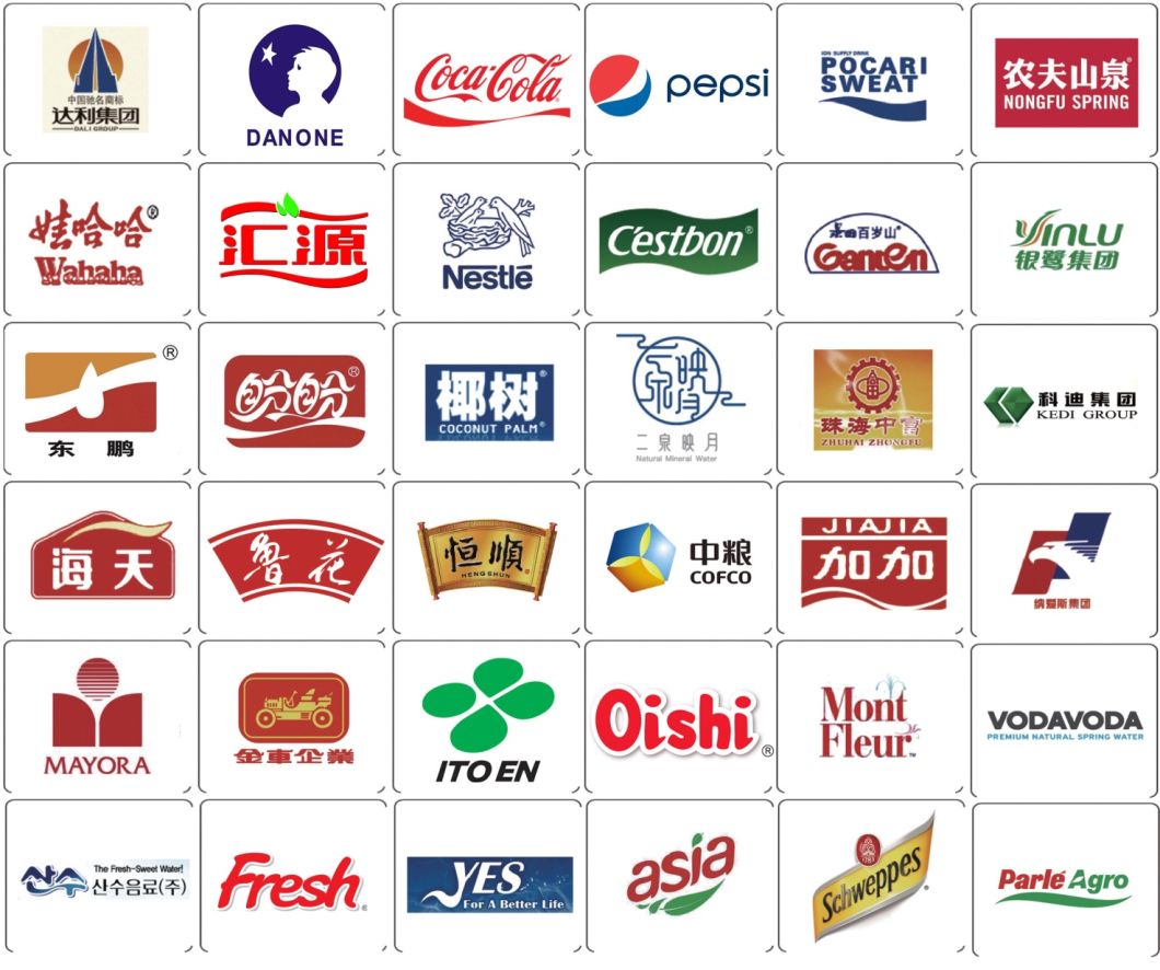 Newamstar Carton Conveying Chain System