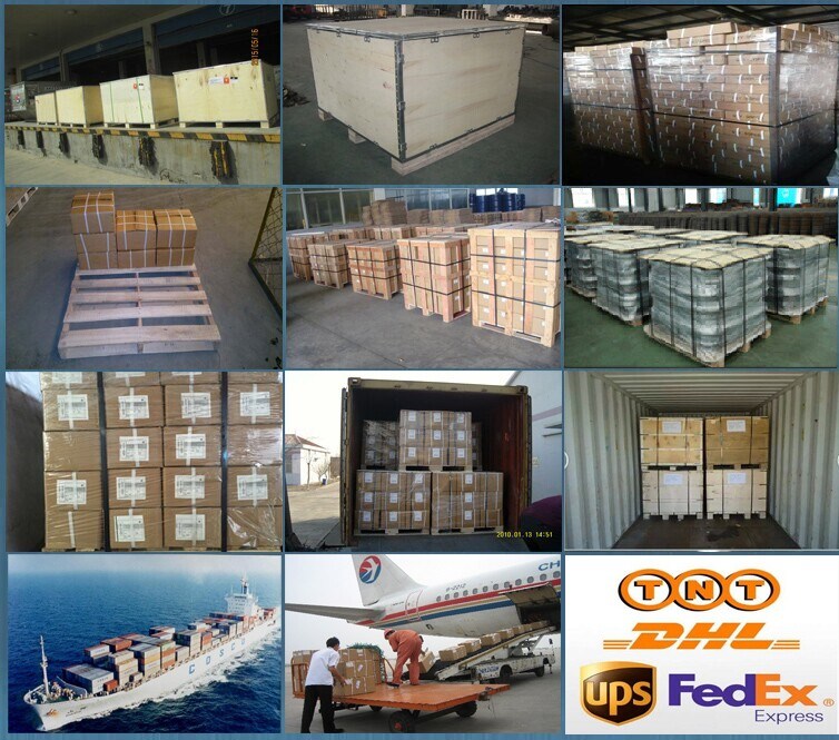 Ss Pipe Fittings Made by Precision Casting