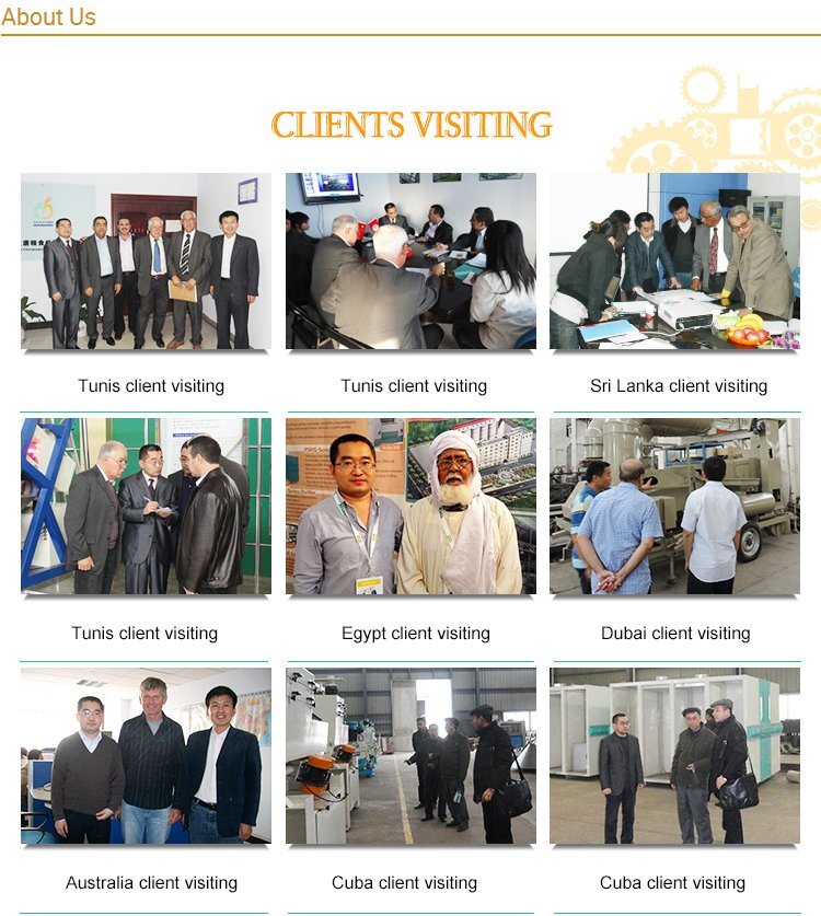 Material Handling Equipment Vibrating Sieve with Price