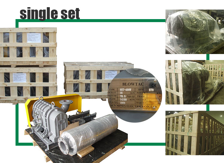 Roots Blower Packing