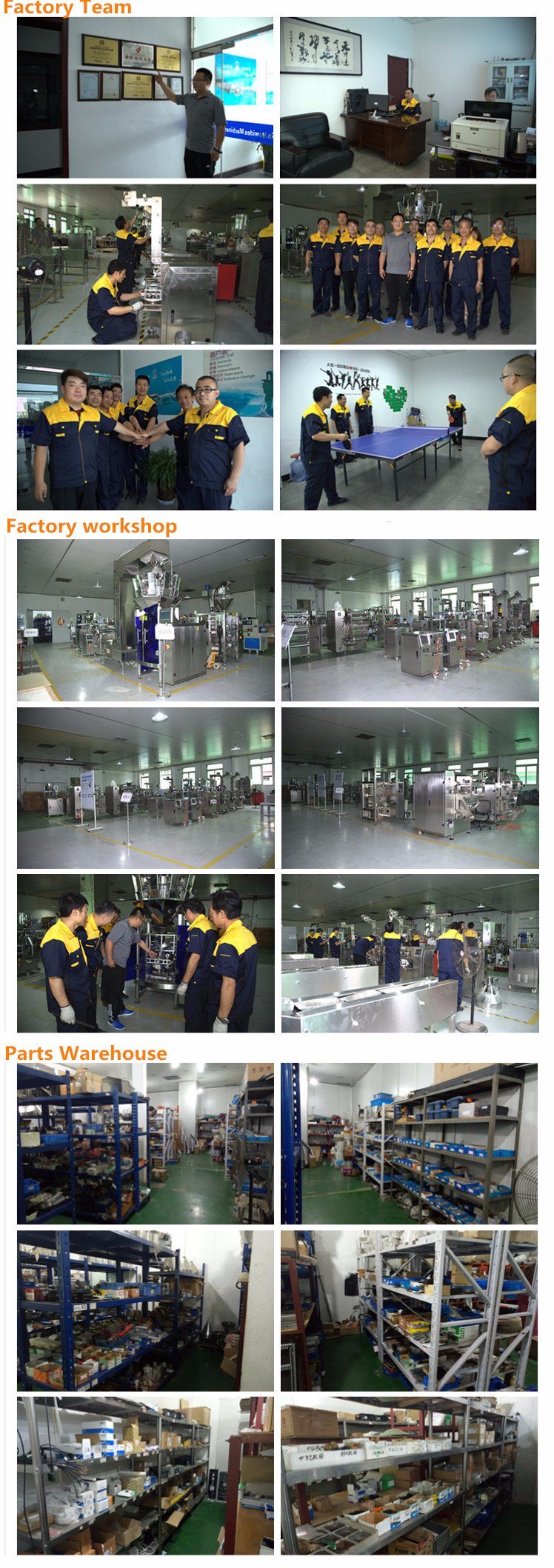 Factory Automatic 100-1000g Glucose Powder Packing Machine