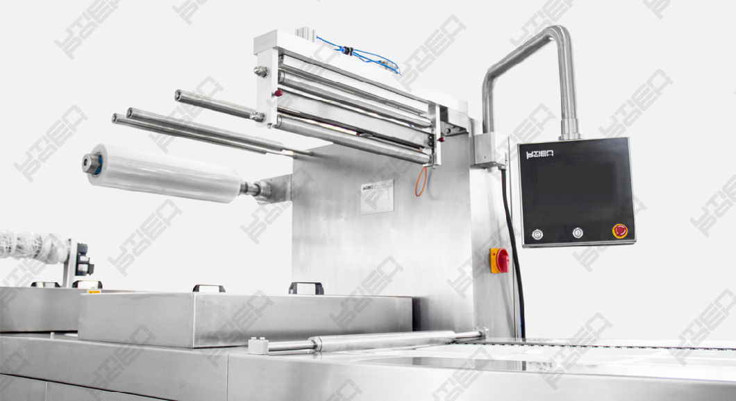 Automatic Food Vacuum Map Thermoforming Packing Machine (DZL)
