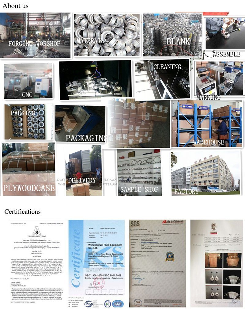 Ss Sanitary Tri Clamp Elbow Pipe Fittings