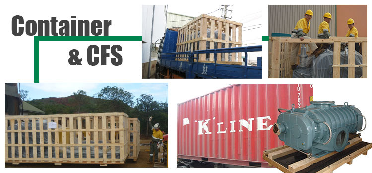 Roots Blower Container CFS