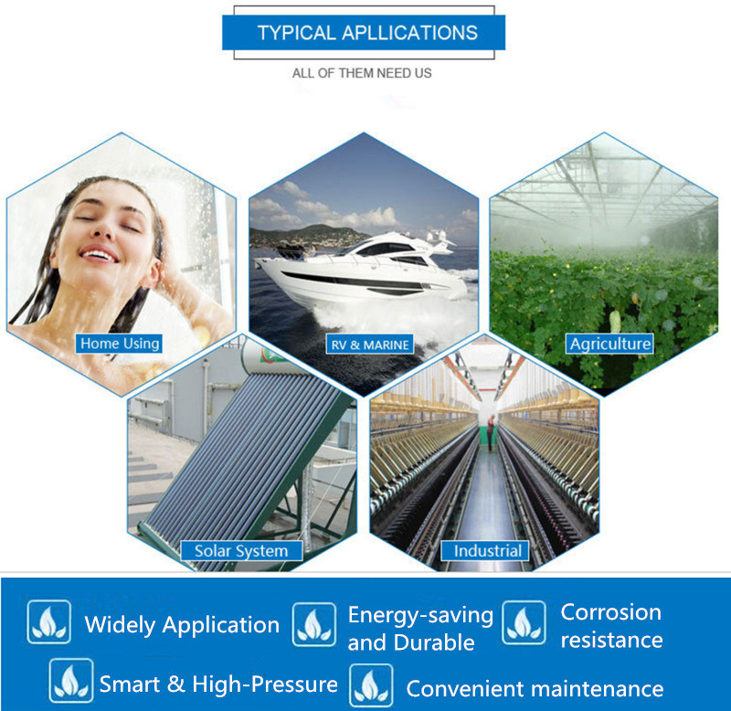 Mini DC High Pressure Diaphragm Pump